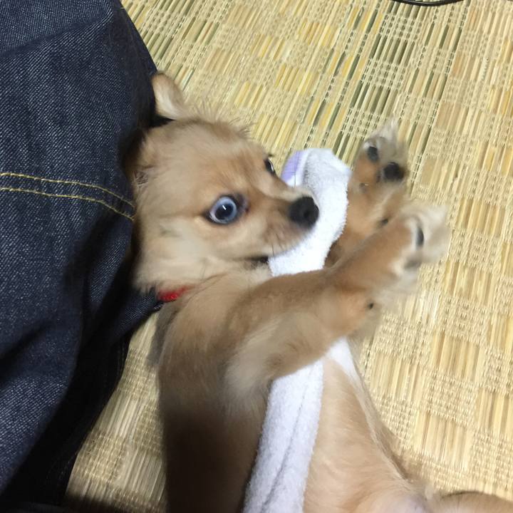 70233b32 f40e 4cc9 95f9 a54082dade40