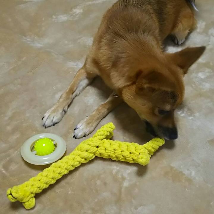 70240a1e 038c 412b b11c e0cbee26b206