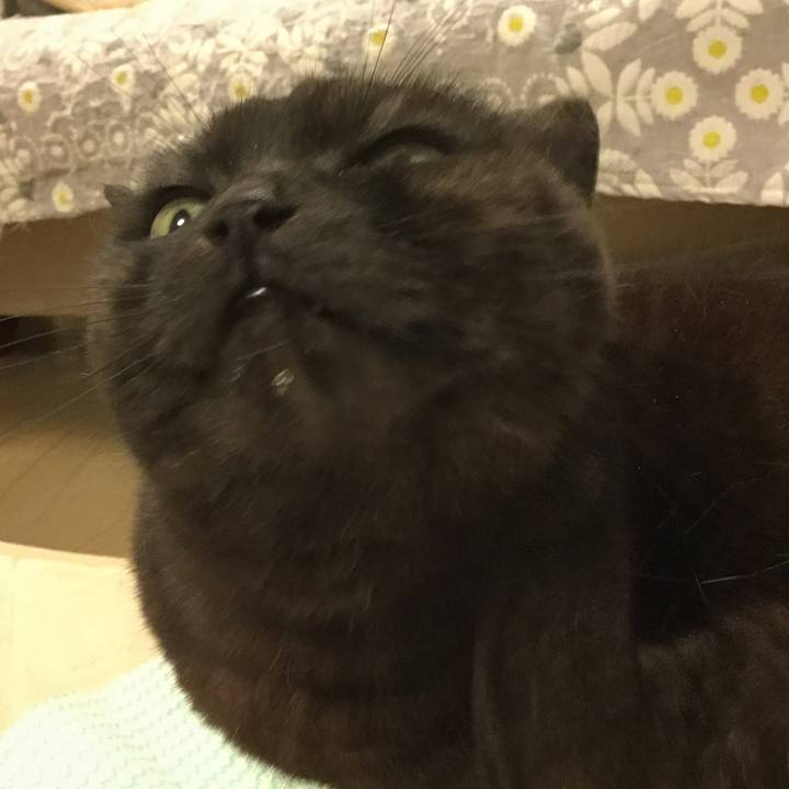 7024155b c0ae 4ce1 bbc0 c1bf00c612c2