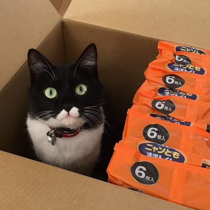 7024979a 8ad4 48e6 bfe0 e4a81cbbabb8