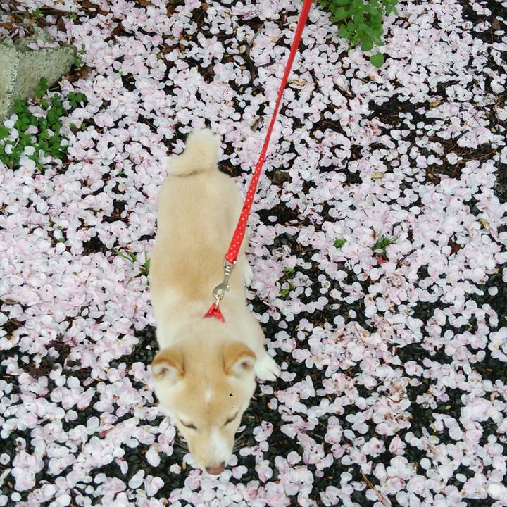 70249f4f bbb2 4065 b939 a4f1330bd9cf