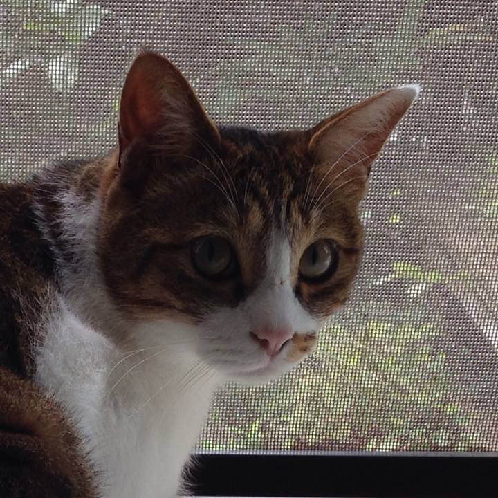 7024a4f9 4340 4888 b00d 1bca19b0b104