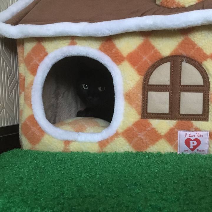 7024ed20 6d1e 43f5 8923 fba67f60dc18