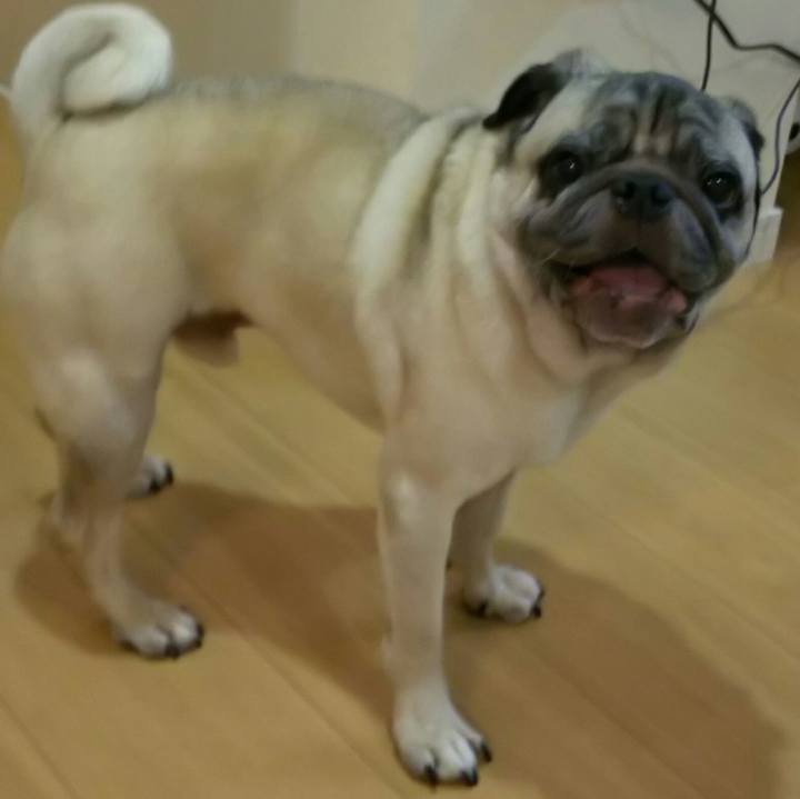 70255ff3 3092 48f0 8165 632145dba8d1