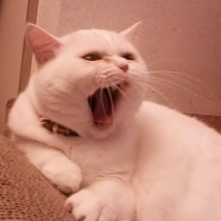 7025935f c26d 4772 b153 fdf78f9c48fc