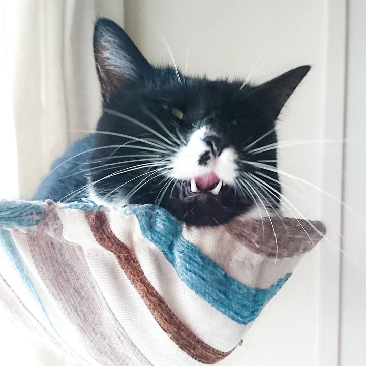 7025a1a1 e578 4b0d bdca 68edb662eac3