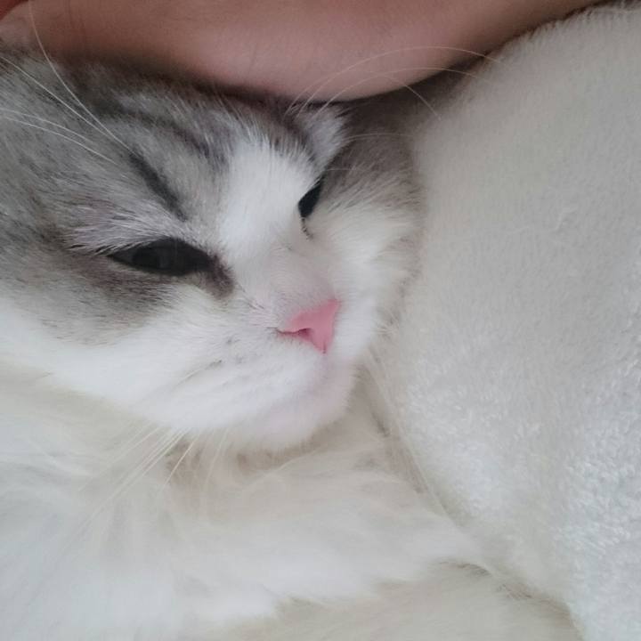 70262967 f934 4d4d 9051 bebc9c64a5d3