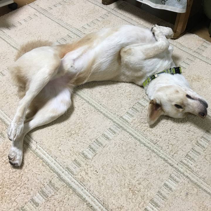 702682b6 f82e 4e45 a859 d4ed64fcddc6