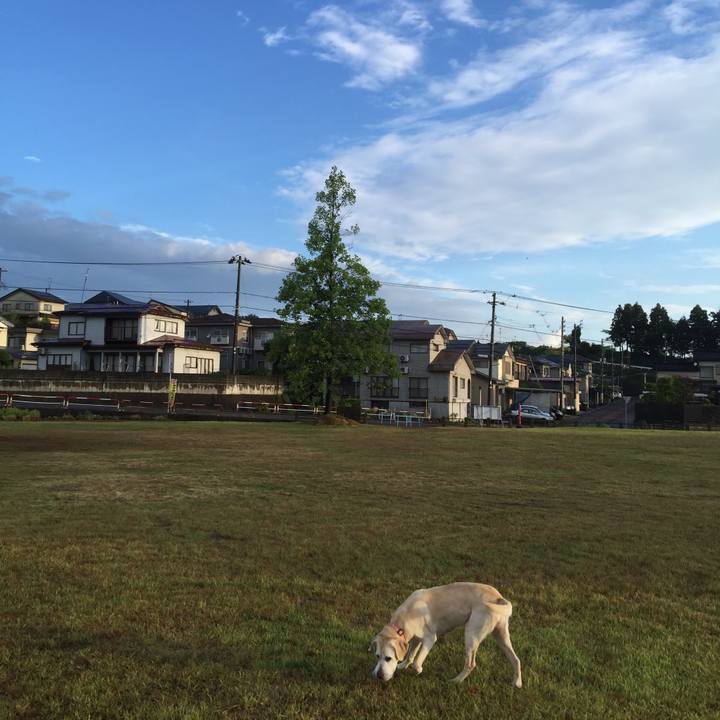 7026a71c 3938 4ba7 a771 9c40ade5f434