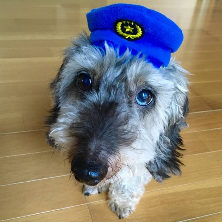 70273ada 6e85 47ed a90e 582047e02512