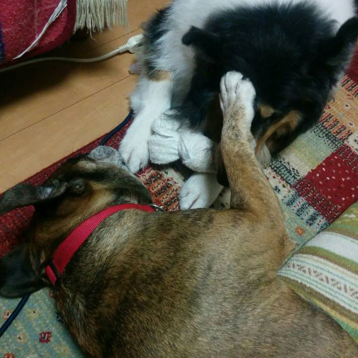 7027e37f 003f 49de 99f1 dcf76e60ab3f