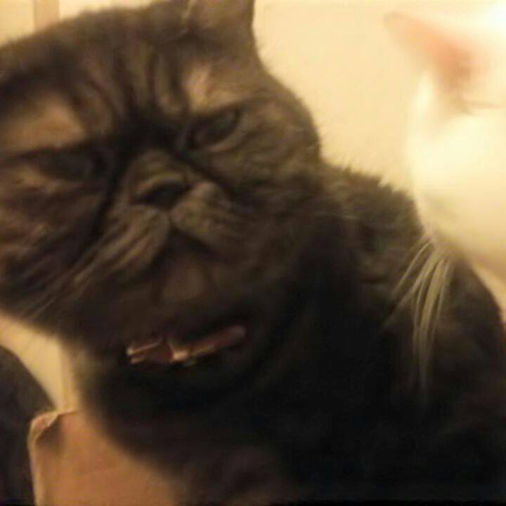 702841a4 8d15 4171 a4ee 78123ddd2b2f