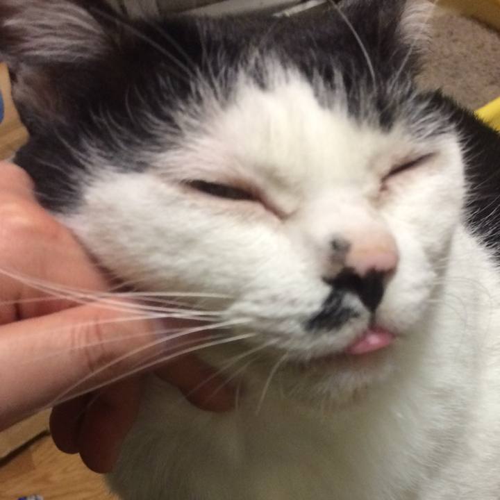 70286f68 860a 4664 8b0f 3173e40a74a1