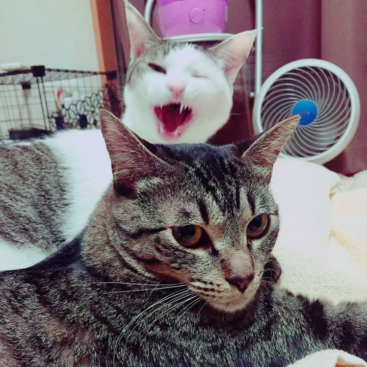 7028720f 289b 457a a7c4 c018d8a3987d