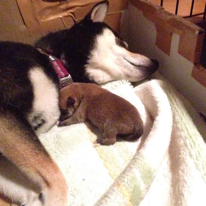 70287212 e1ca 4892 bf6f 6b028bb05533