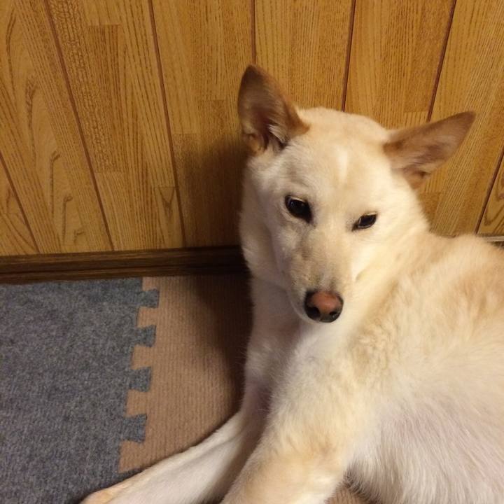 7028a130 4369 4e28 95cf b369bbee71bb