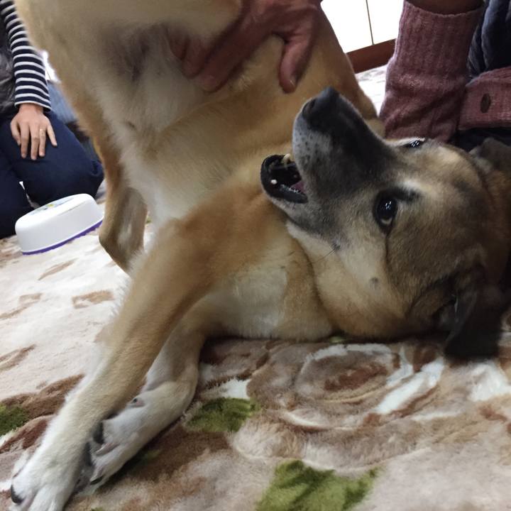 7029192d 587f 4239 b80b 9040f46a4892