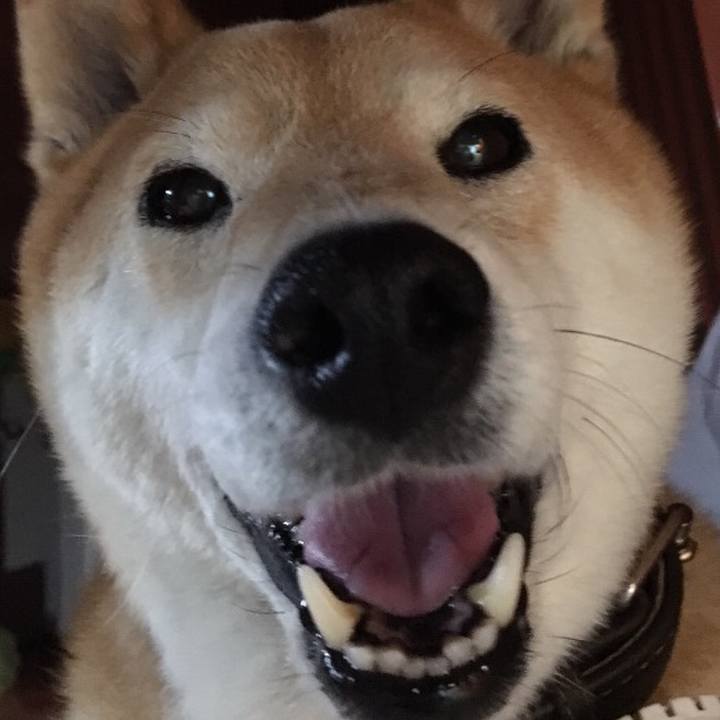 70291f90 4f51 467f 96ed a2e2a2160823