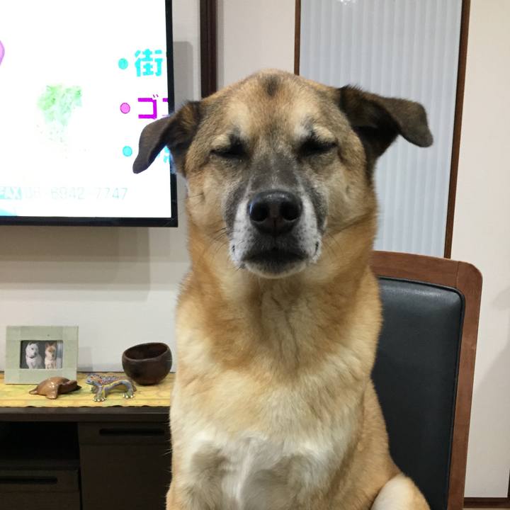 702963b4 9fb1 497a a226 6366ca949809