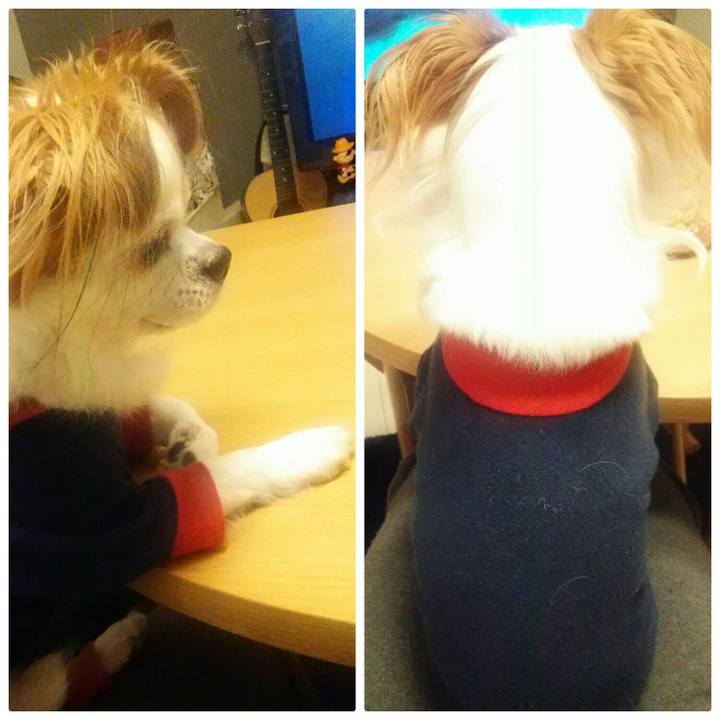 7029ea0f b221 46d8 bdda 4f748428edc7