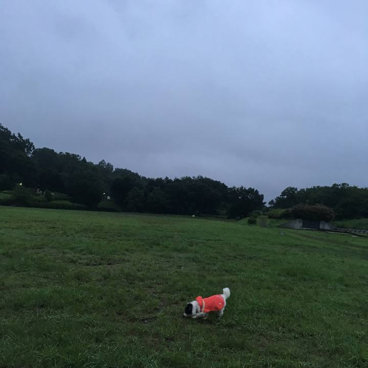 702add20 5785 4995 bb18 2e403b6869b0