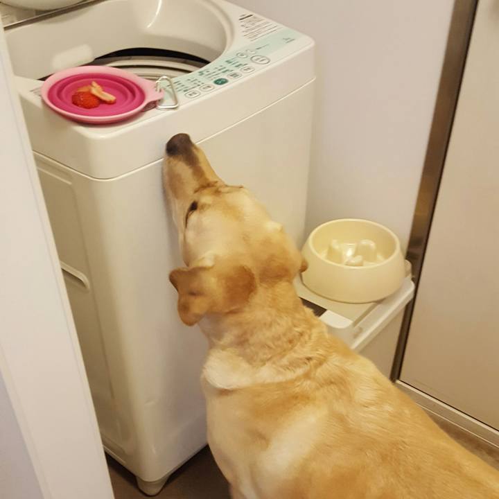 702ae63f a552 47a7 b731 0675d5782ed8