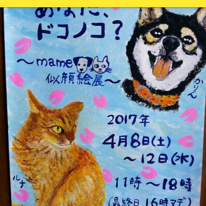 702b370c a06c 4b22 9932 1c80d6378e4b