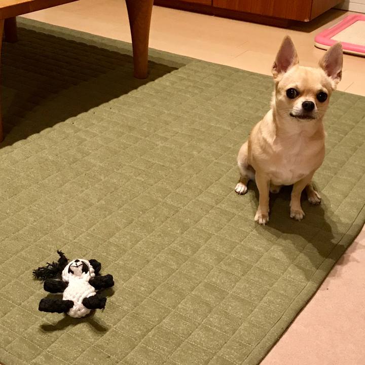 702c62c9 a2b2 4eef a884 000578d7ab48