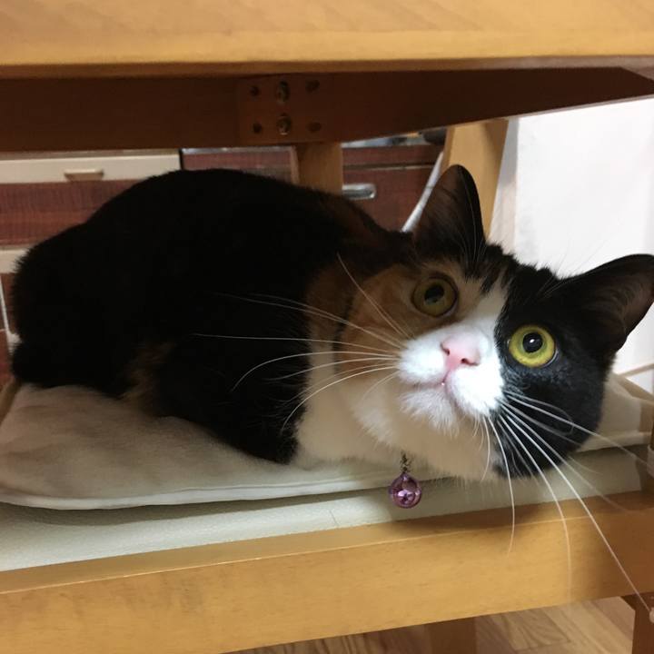 702dd809 674c 47f1 aa2e 58a5679fb8d5