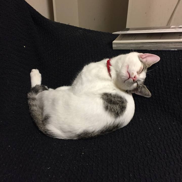 702ddc26 6d77 47ce 8612 b7a17e402d92