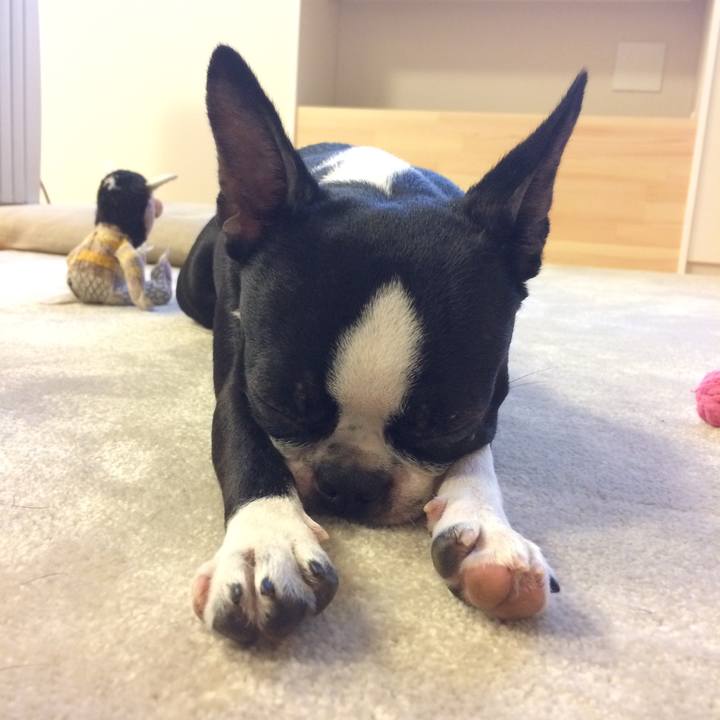 702e69c5 7bb4 41a7 914c 5aa50d2c358e