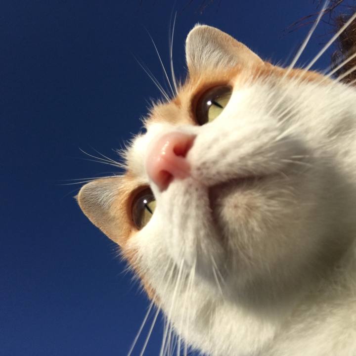 702e97fe 6eff 461b 90c3 72dba5e42b7f