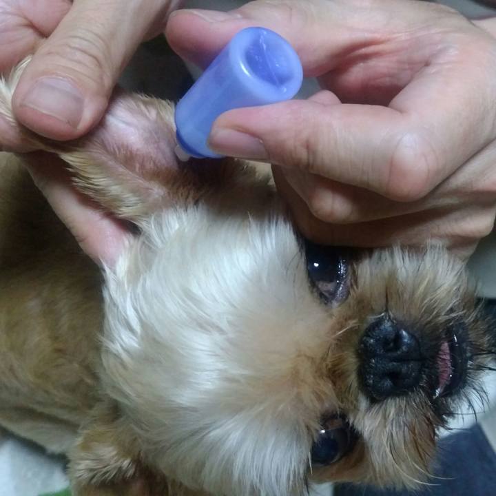 702eb06e afc6 4923 bf33 19ecee73de18