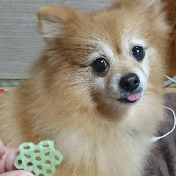 702f17ab 0324 44d4 89ba ac2c6afe4171