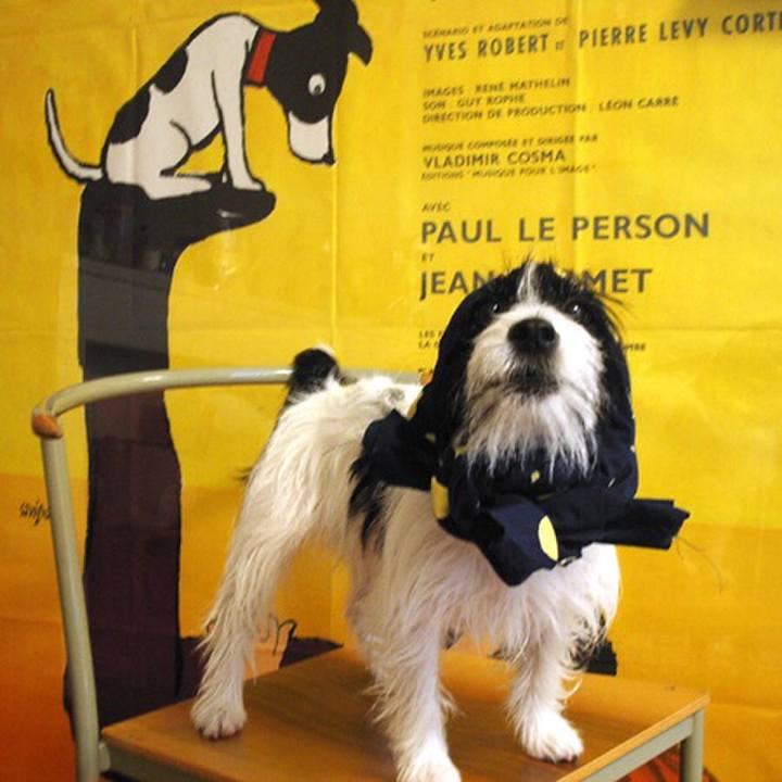 702f4866 b610 4a2d be2a db59ef7e29c6