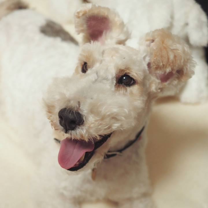 702f6eb2 5f03 4dc8 94d3 dd9ed0272059