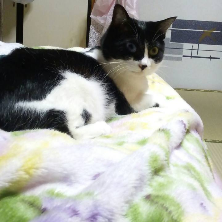 702f70e2 61ca 4132 a5fd 146711719726