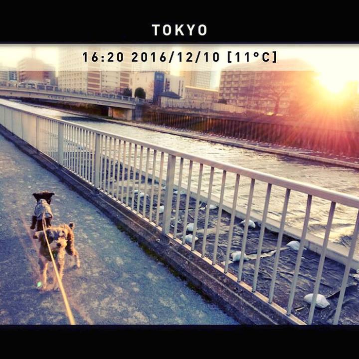 702fc30c ad08 4fdd 923e 0fe5b6465516