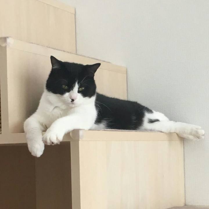 702fcd82 e652 49c0 97bd febd93cdf87c