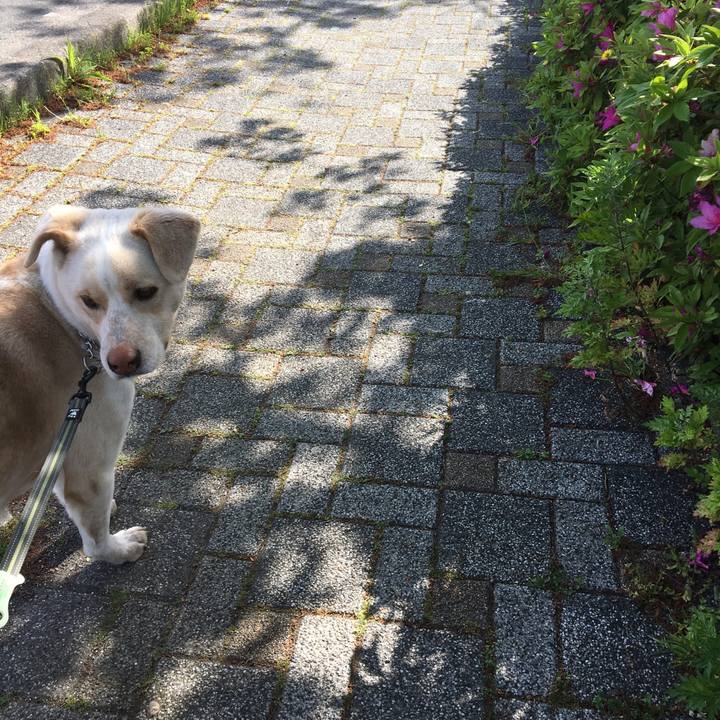 702fe231 ae94 4b92 9e03 d2dfc71b9a77