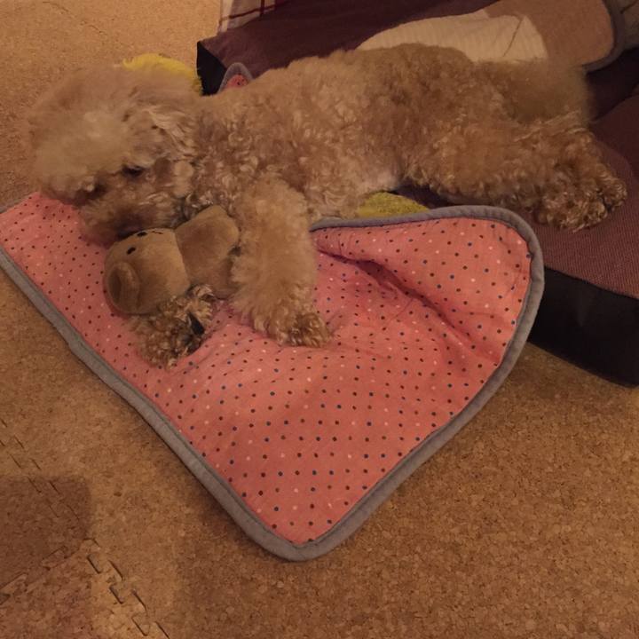 7030542d a5f2 45e7 b7c7 38cf0539200f