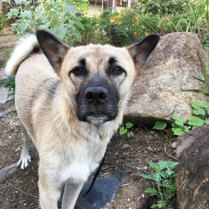 7030ce08 48d6 40b2 8846 c5f14ba07639