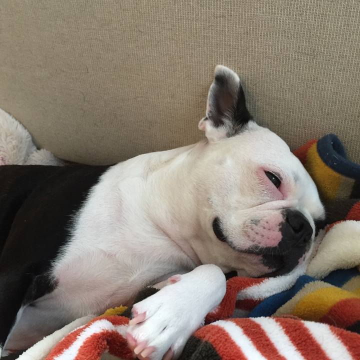 70311c5f ee6d 429f 9b58 cffeb078e082