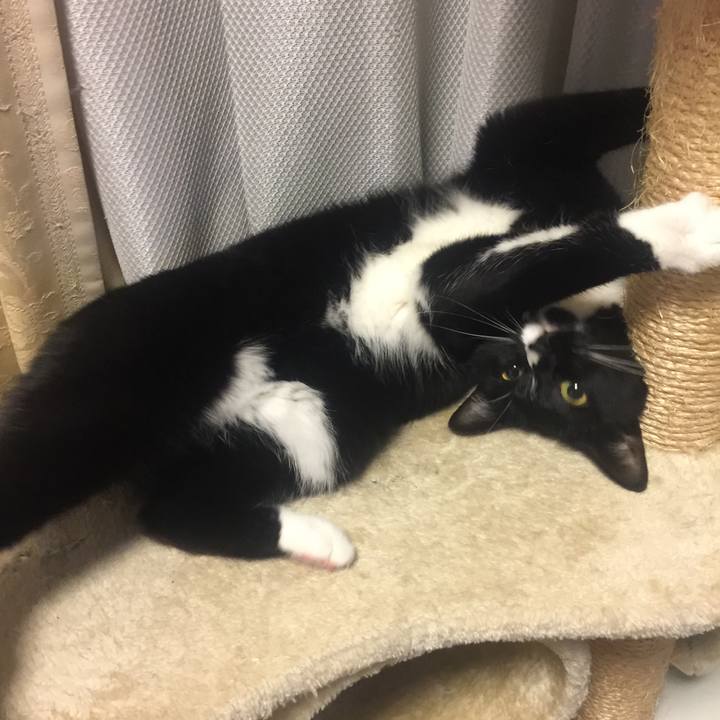 7031496f 035f 40de ab5e ead15bb6fe19