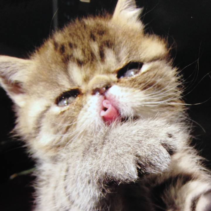 70316006 1359 4f22 a6b8 5bb19fa4f391