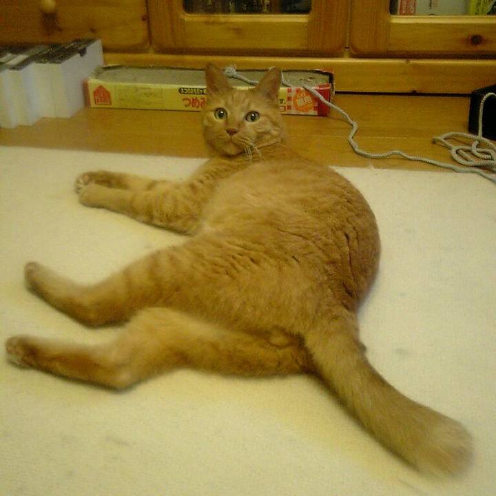 703194b6 61c4 421e bf51 e195edaffe76