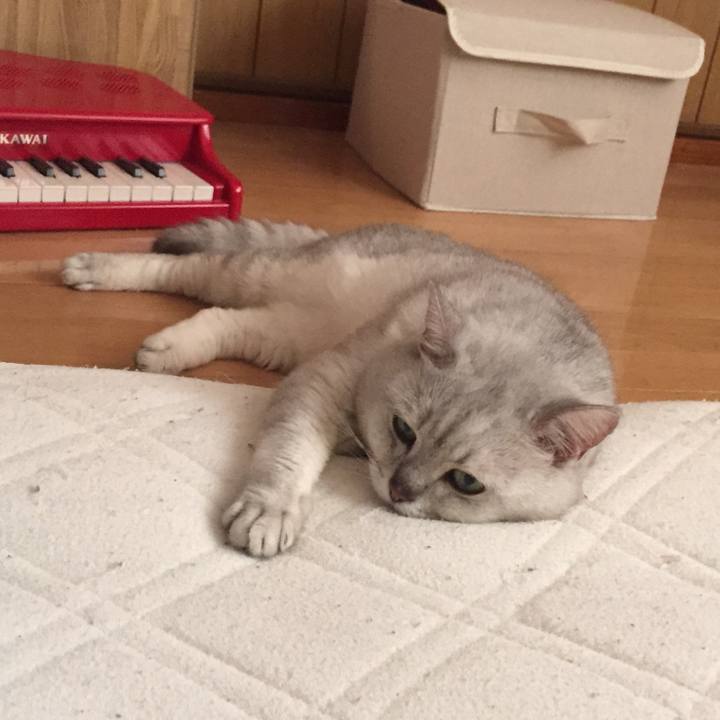 7031aee0 69c2 4736 9cf4 ddf70286e22c