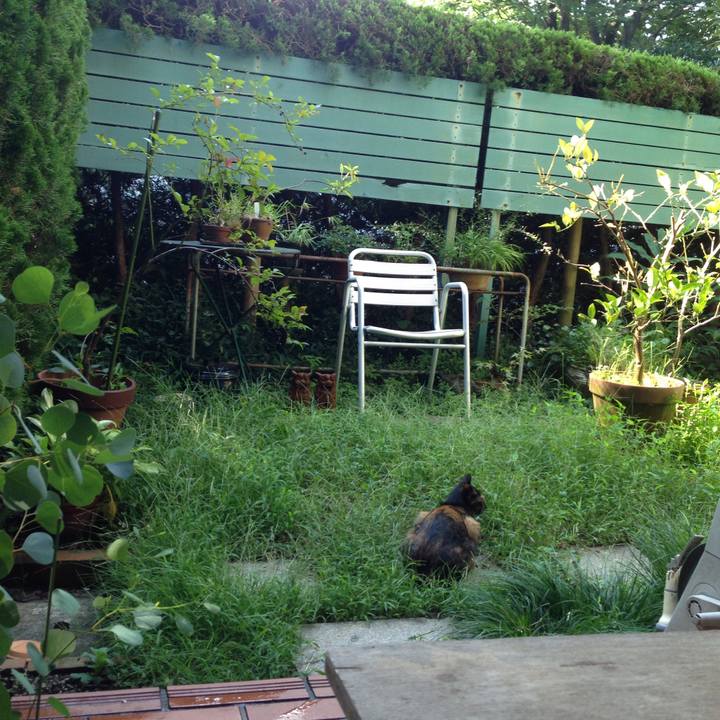 7031b356 5c48 4e3c bf56 74d976d65d75