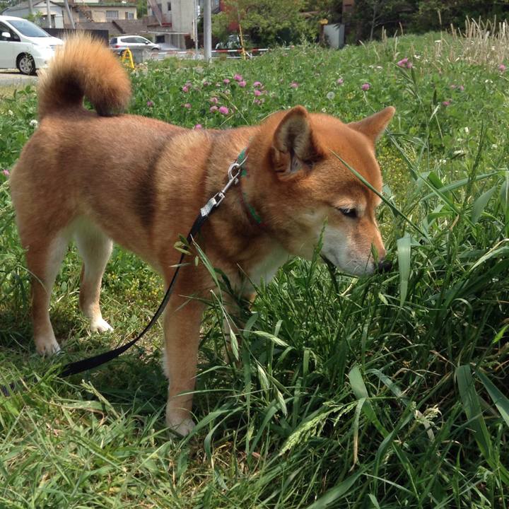 7032407c 6ef7 472a 8fa3 b15515e1e97b