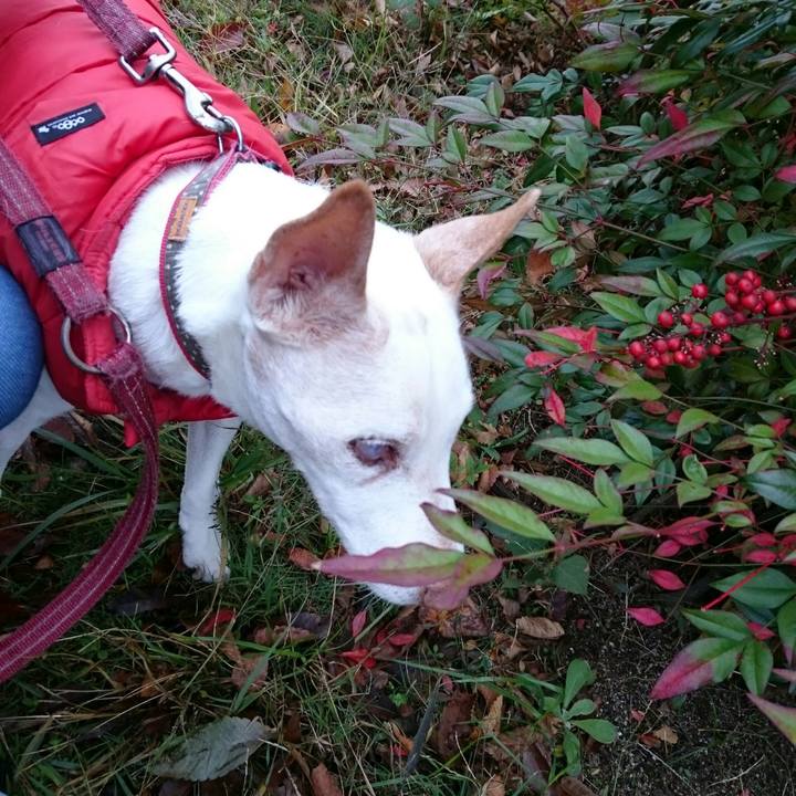 70327183 841a 46ca b1b4 24eea9814e56